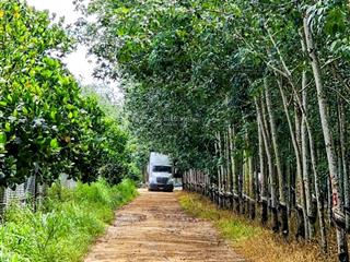 Bán 2ha đất siêu đẹp trồng cây ăn trái, mặt tiền dài đến 140m, cực kỳ thích hợp trồng sầu riêng