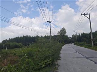 Bán 2 lô 300 sẵn thổ cư, giá 650 triệu đường 6m, tân xuân, hàm tân