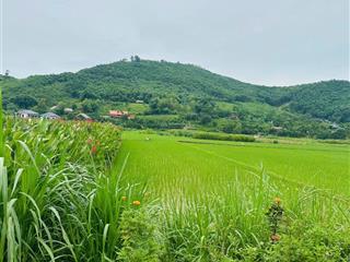 1,85 tỷ  1100m 150 thổ lô đất view cánh đồng đẹp nhất khánh thượng ba vì hà nội