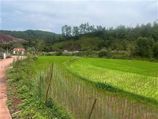 232m2 full thổ cư phong phú tân lạc view cánh đồng siêu đẹp cách quốc lộ 6 50m, giá 2xx triệu