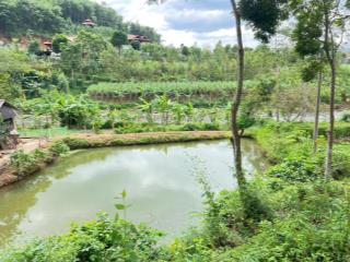 Lô đất 3820 m2 bám suối duy nhất còn lại tại hợp phong cao phong cực kì phù hợp làm homestay villa