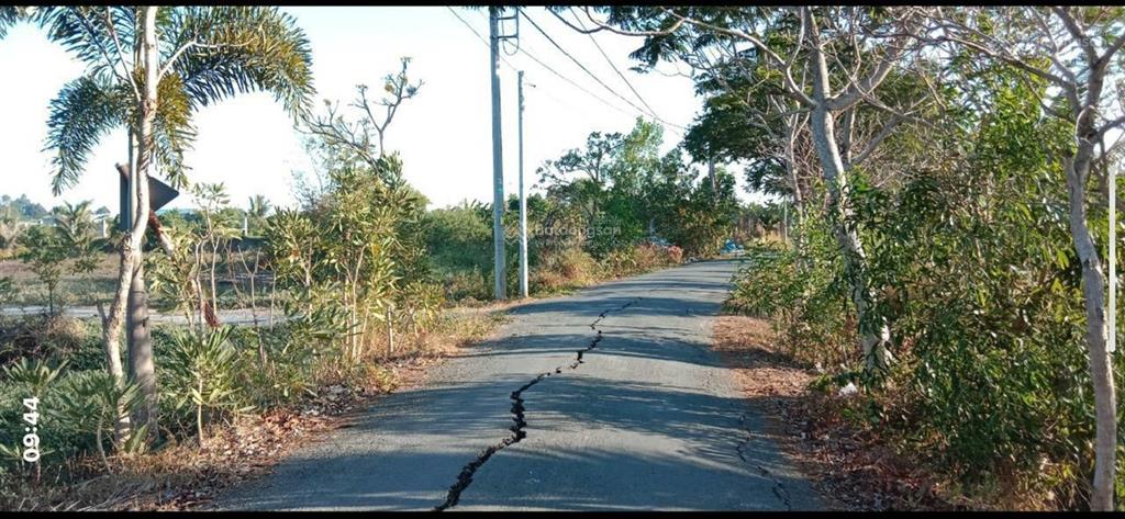 Chính chủ cần bán lô đất trồng cây hàng năm xã hưng long, bình chánh. giá 6tỷ