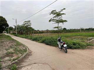 Cán bán đất nông nghiệp và 1200 m2. để dùng tiền việc gia đình. giá nào cũng bán. 1.7 tỷ là chốt