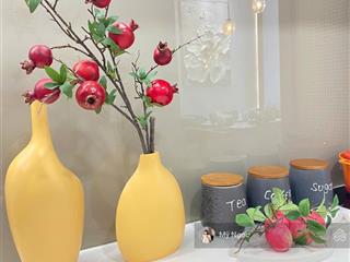 Bán biệt thự cũ, s lớn 538m2 gần biển bãi trước, thích hợp cho kh xây biệt thự & kd nghỉ dưỡng