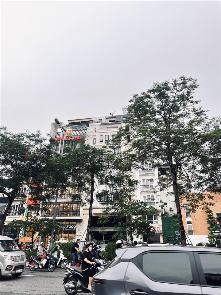 Bán nhà 8t thang máy mp nguyễn thái học  điện biên phủ dt 92m2 mt 4,15m 89,99 tỷ