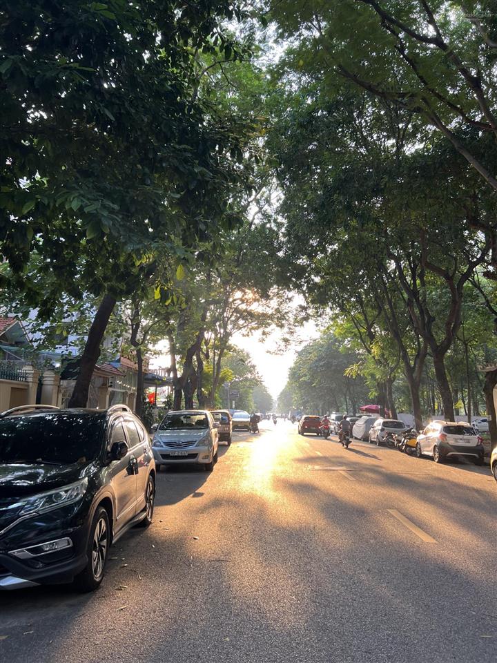 Siêu biệt thự bán đảo linh đàm  view hồ  254m  kinh doanh đỉnh  chỉ 65 tỷ