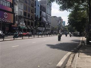Bán tòa nhà 8 tầng căn góc mặt phố nguyễn chánh cầu giấy mặt tiền 4,8m giá 51 tỷ!