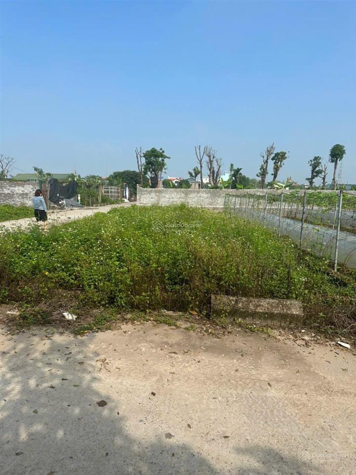 Siêu vip 3 mặt tiền, chủ cần tiền bán gấp, giá đầu tư siêu lợi nhuận. dt 193m mt 26m giá 8,5 triệu