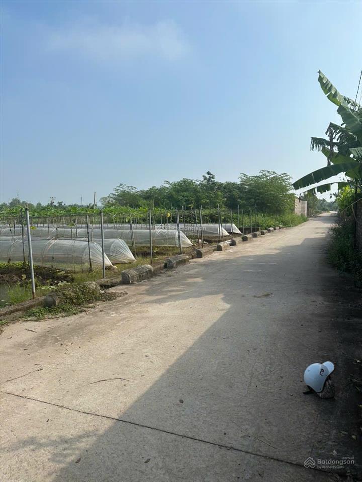 Siêu vip 3 mặt tiền, chủ cần tiền bán gấp, giá đầu tư siêu lợi nhuận. dt 193m mt 26m giá 8,5 triệu