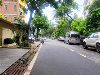 Hạ sâu 4 tỷ! bán biệt thự mỹ đình 1, hàng hiếm giá đầu tư, quận nam từ liêm