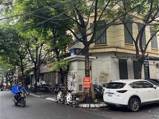 Nhà 5t lô góc 3 mặt tiền phân lô linh lang đào tấn, oto tránh cách mp 10m, dt 80m mt 4,5m
