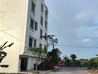 Cần bán 2 lô đất đấu giá gần khách sạn crow trung nghĩa, dt 200m2, mt 10m