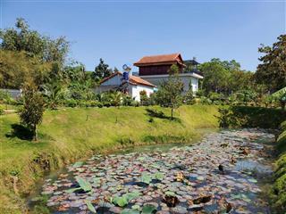 Bán nhà vườn 2400m2 thổ cư đến 300m2 hiếm hoi, mặt tiền đường nhựa tại bình ba châu đức giá ngộp