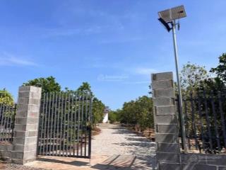 Căn nhà vườn nhất định phải xem, 1077m2 sẵn 300m2 thổ cư, có nhà, vườn cây, mặt tiền nhựa, giá hời