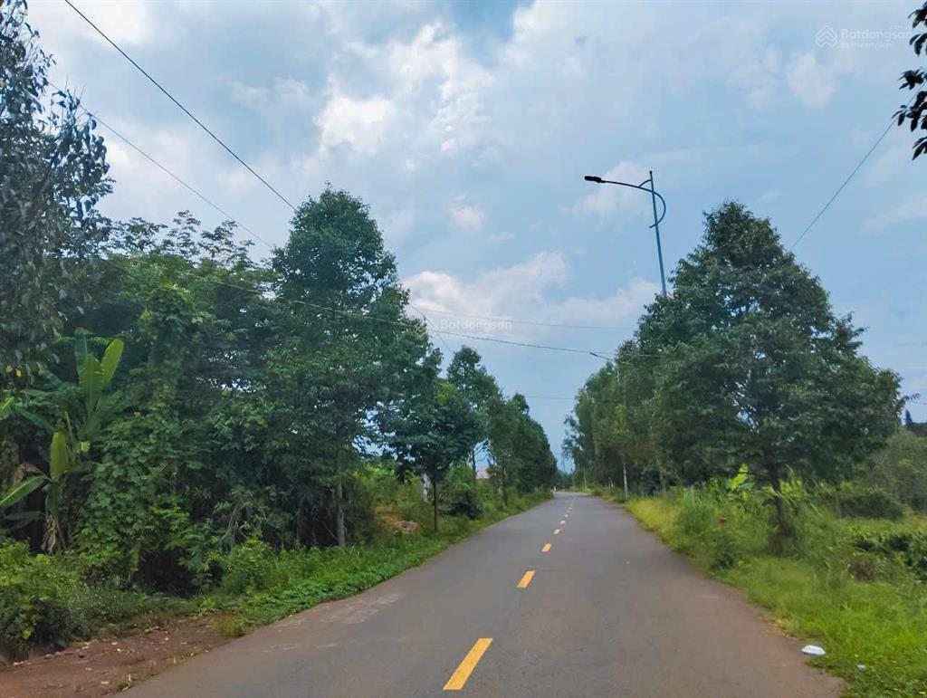 Cần bán hơn 1ha vườn trái cây mặt tiền nhựa tới 200m, sẵn 300m2 thổ cư, chưa qua đầu tư 0909 124 ***
