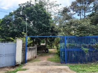 Hiếm! bán vườn trái cây view suối liền kề cao tốc diện tích lớn 25.433m2, sẵn 300m2 thổ cư, nở hậu