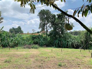 Cần bán vườn trái cây 5681 m2 view suối tuyệt đẹp, mặt tiền nhựa xe hơi đến 56m, phủ hồng đất ở