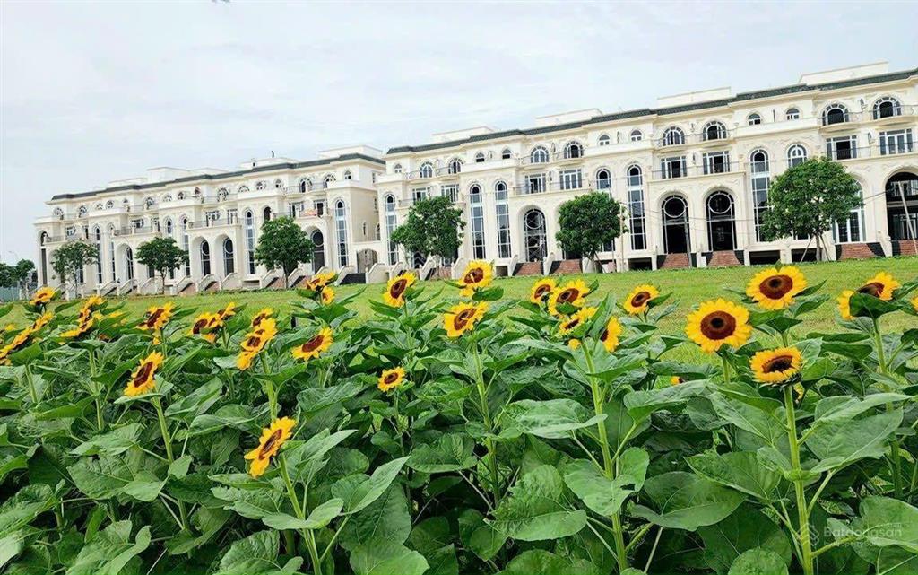 Chính chủ cần bán gấp biệt thự sunlake villas khu đô thị vạn phúc city 29 tỷ  31  38 tỷ giá rẻ