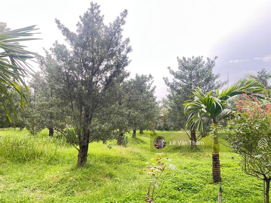 Bán nhà riêng vườn khu nghỉ dưỡng tiếp giáp sông đồng nai 4600m2 vĩnh cửu đồng nai, chỉ 6,5tr/m2