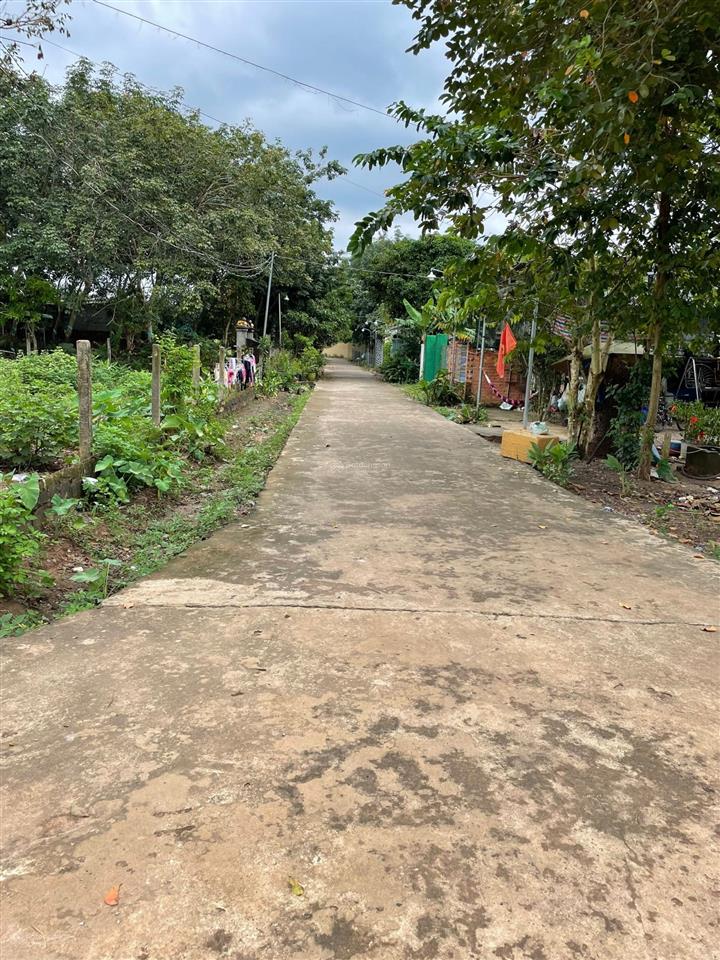 Bán đất bình an, long thành, đồng nai. dt 10x25,5m, có 100m2 thổ