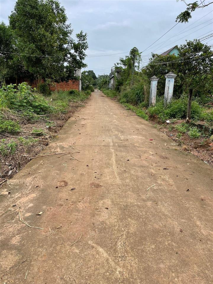 Bán đất bình an, long thành, đồng nai. dt 10x25,5m, có 100m2 thổ