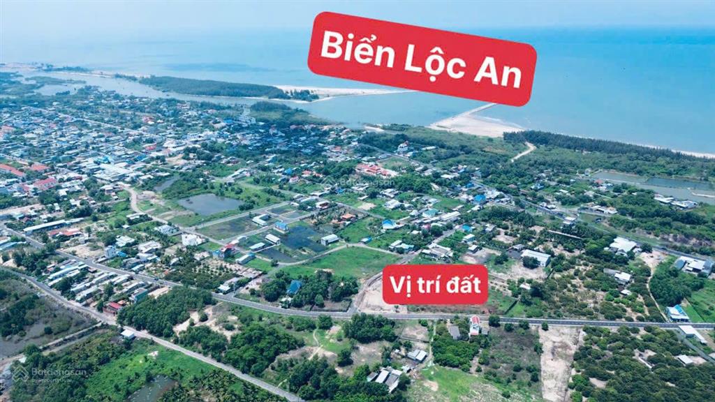 Bán đất làm nhà vườn hoặc xây homestay ven biển lộc an, cách bãi tắm 800m. mặt tiền đường nhựa lớn