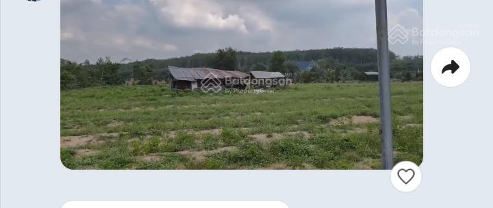Bán đất tại đường 746, tân định, bắc tân uyên, bình dương, 8 tỷ, 11000m2