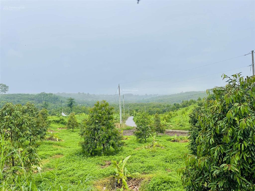 Gấp 1914m2 (40x45m) sẵn 300m2 thổ cư, đường xe hơi 2tỷ650