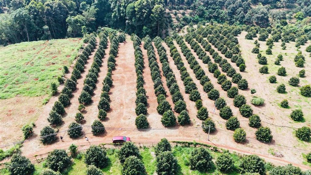 Lô góc 2 mặt tiền 1000m2 rẻ nhất hàng gòn chỉ 1ty4