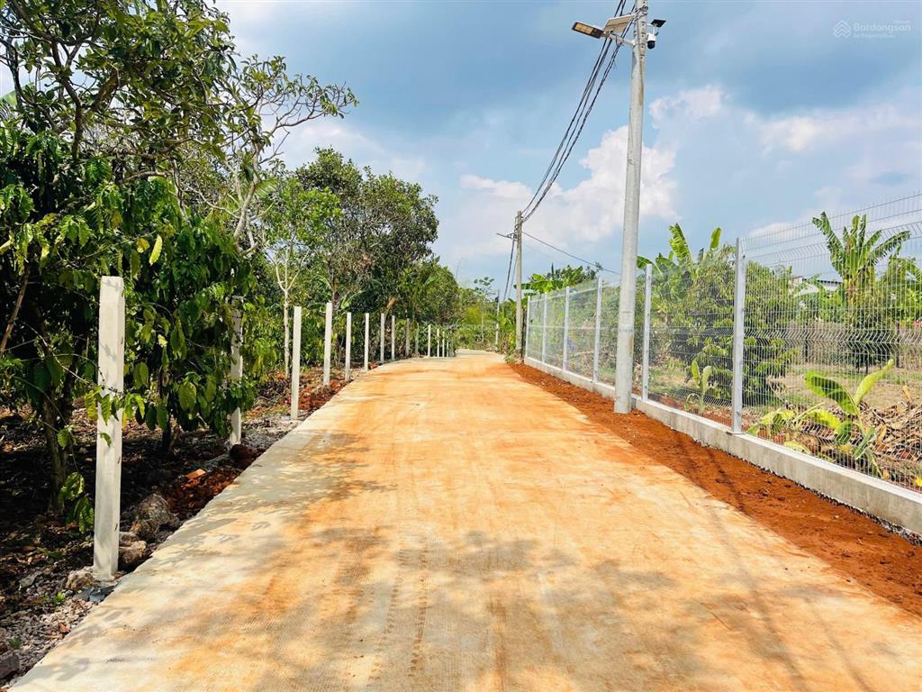 Nhà vườn sầu riêng 3000m2 sẵn 100m2 thổ cư chỉ 5 tỷ 500 thương lượng