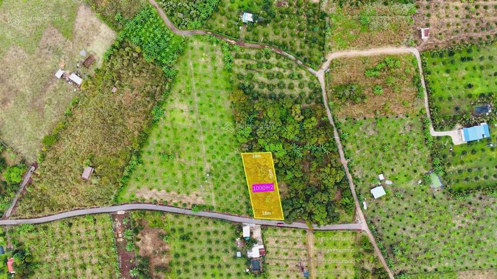 Mảnh vườn 1000m2 chỉ 1,1 tỷ đường xe hơi