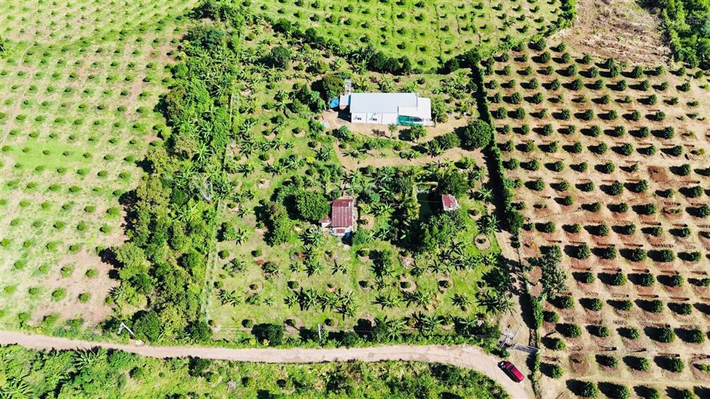 Siêu hiếm mảnh vườn 6400m2 có sẵn 300 thổ cư ở hàng gòn thế đồi cực đẹp