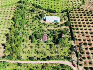 Siêu hiếm mảnh vườn 6400m2 có sẵn 300m2 thổ cư ở hàng gòn  thế đồi cực đẹp