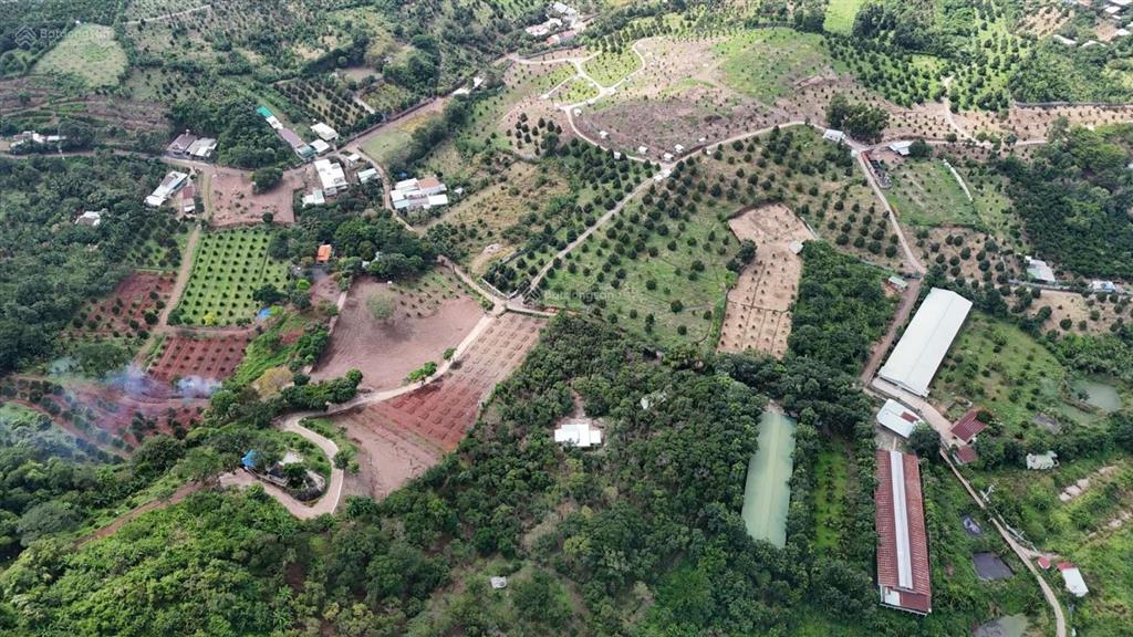 1,5ha thế đồi ngay kdl ngô ánh quy hoạch đất ở view nghỉ dưỡng 750tr/sào