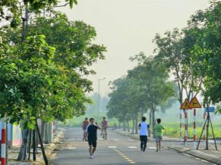 Rổ hàng chủ đầu tư tiến lộc garden tháng 8/2025