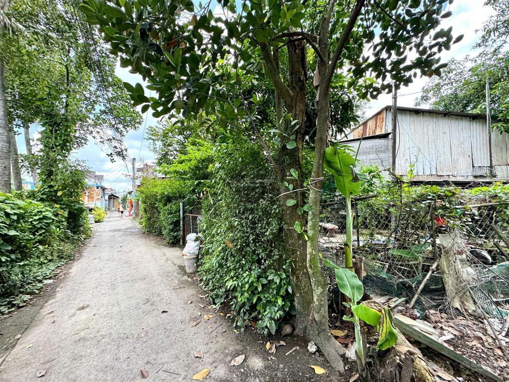 Chủ gửi bán lô đất bửu hòa 61m2 giá rẻ, thổ cư 100%, nguyễn tri phương vào 500m, đường ô tô, shr