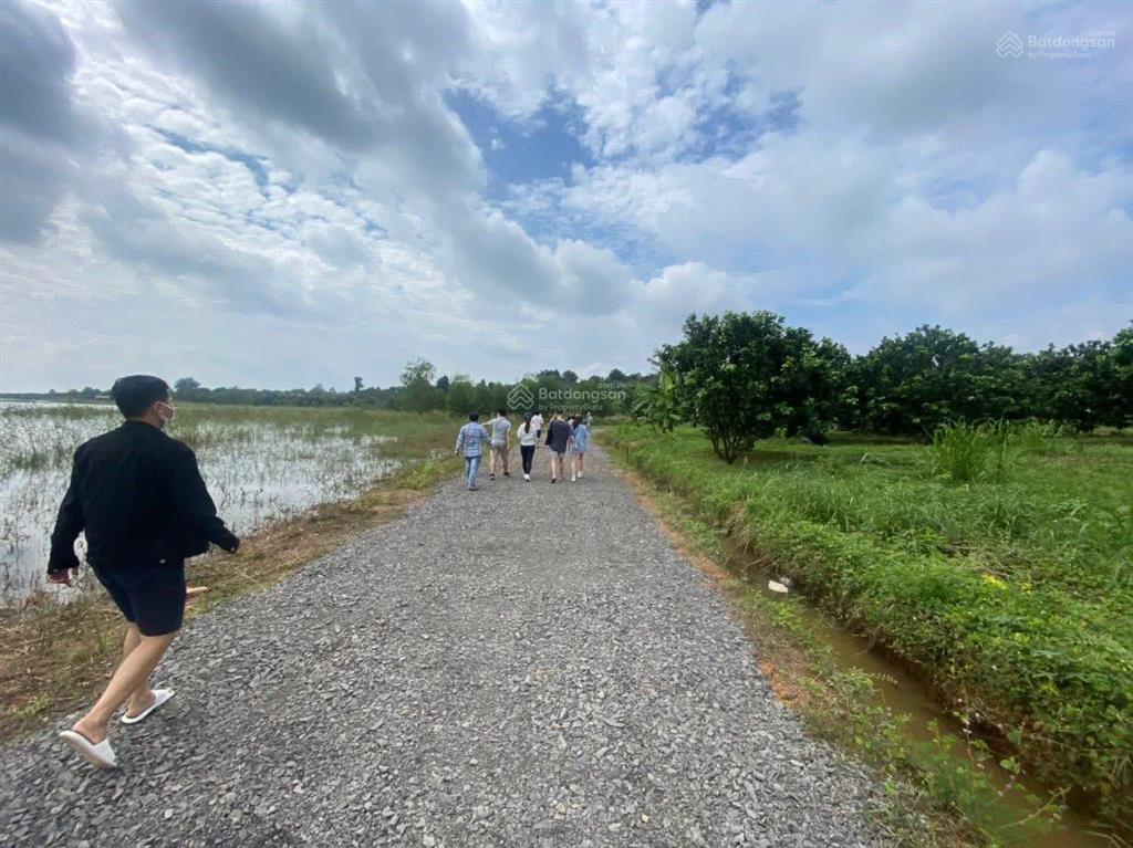 Em chính chủ bán lô vườn bưởi 8700m2, trên đất đang trồng bưởi 7 năm tuổi, cách chợ mã đà 5km