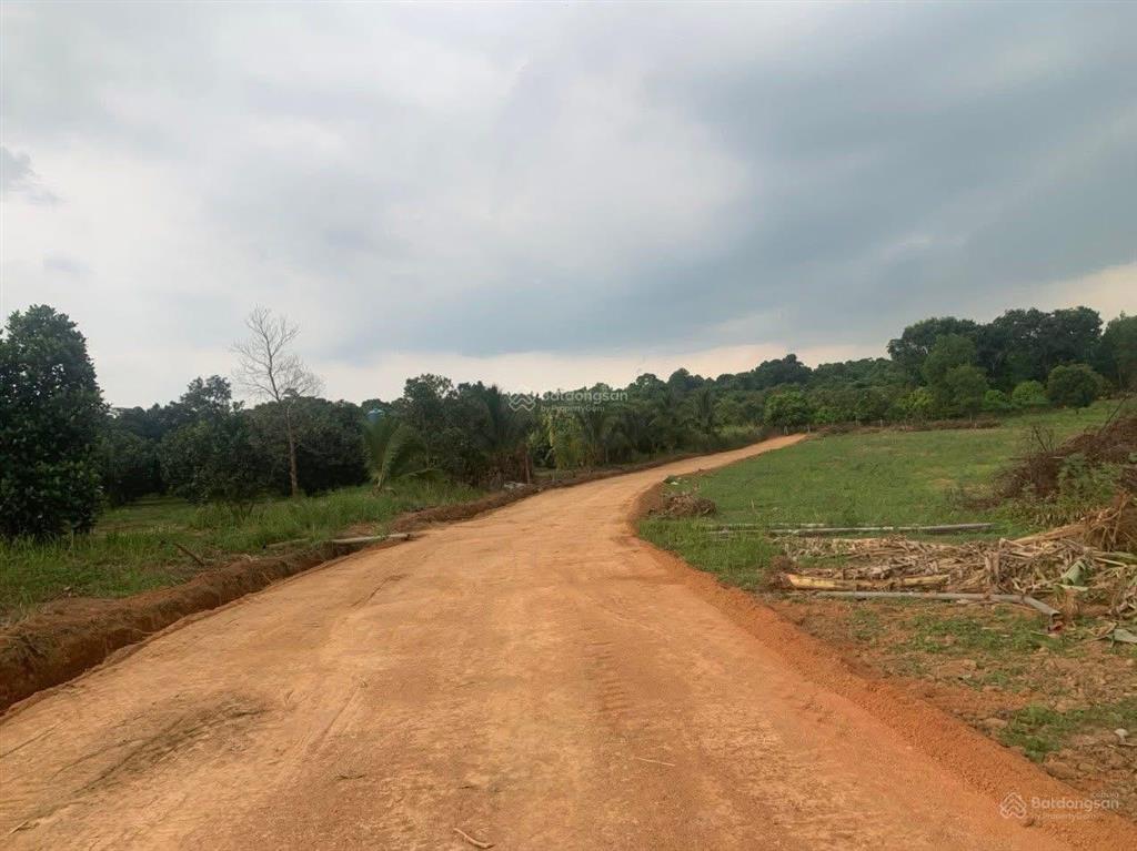 Em chính chủ bán lô vườn bưởi 8700m2, trên đất đang trồng bưởi 7 năm tuổi, cách chợ mã đà 5km