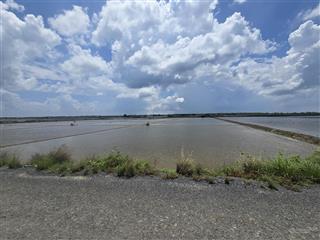 Chỉ 2tr/m2 đất mặt tiền đường nhựa 6m dt 10,000m2 xã lý nhơn, huyện cần giờ