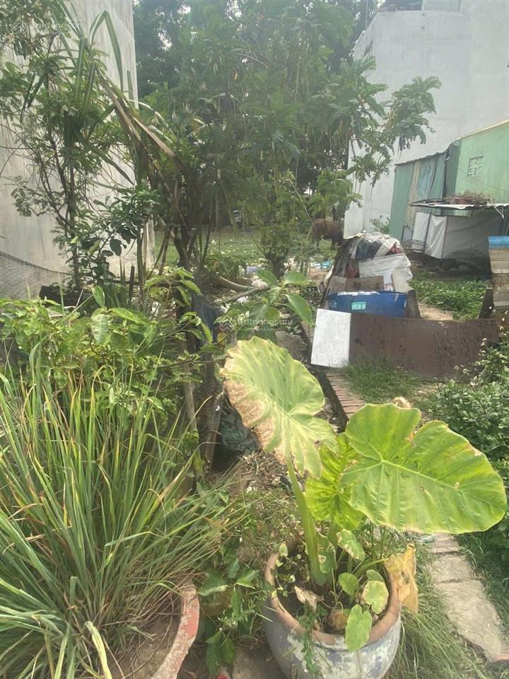 Bán nền đất đẹp hẽm xe hơi ngay đường 970 phú hữu, quận 9 diện tích 59m ngang 4m  0915 698 ***