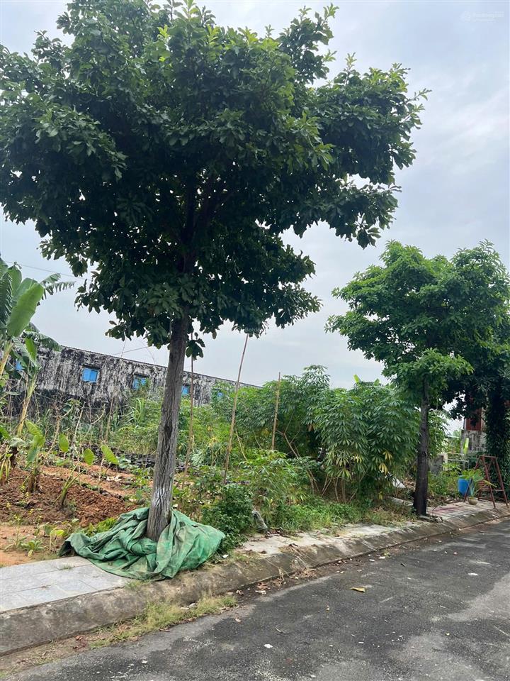 10 lô shr đường 2 phước thiện, long thạnh mỹ, quận 9, dt 67m²/57tr/m2