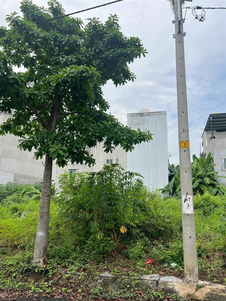 10 lô shr đường 2 phước thiện, long thạnh mỹ, quận 9, dt 67m²/57tr/m2