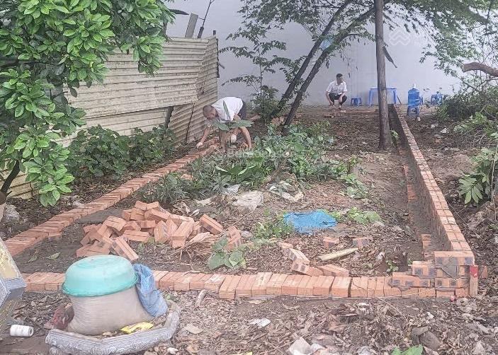 Đất dịch vụ phú vinh, cạnh lô góc. đầu tư siêu lợi nhuận
