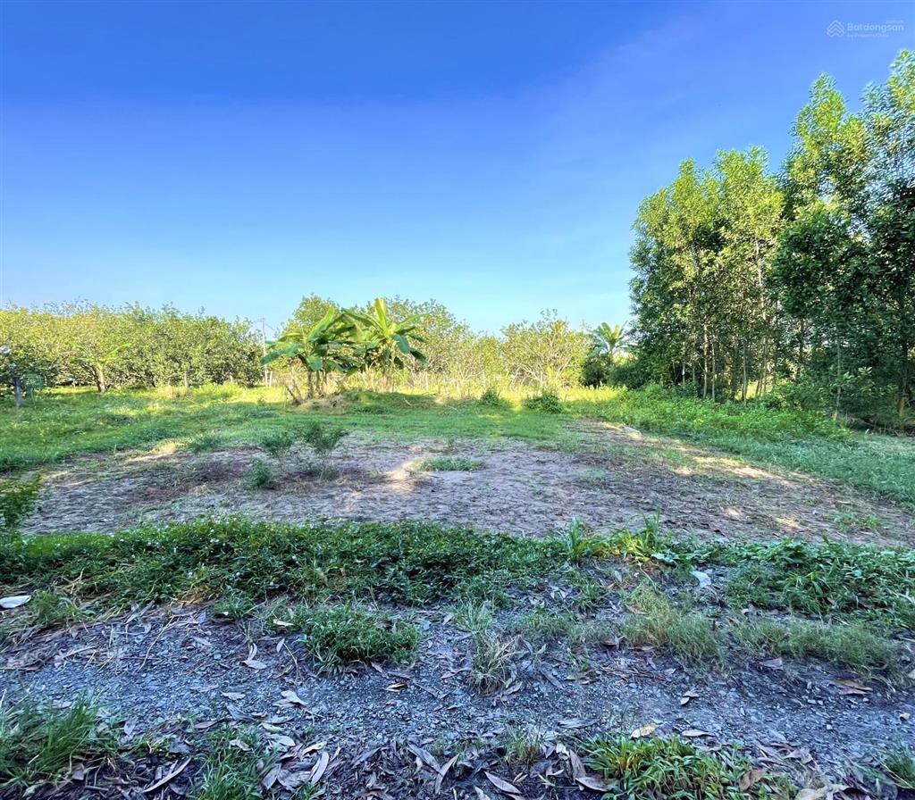 Cần thanh lý gấp lô đất sổ riêng thổ cư đối diện cây xăng kim cương hl15