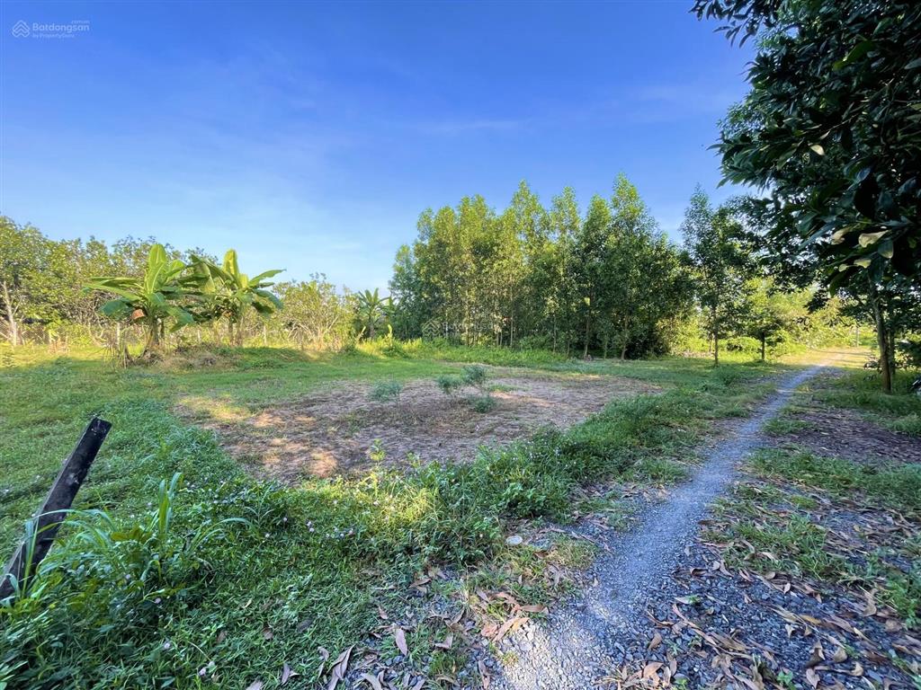 Cần thanh lý gấp lô đất sổ riêng thổ cư đối diện cây xăng kim cương hl15