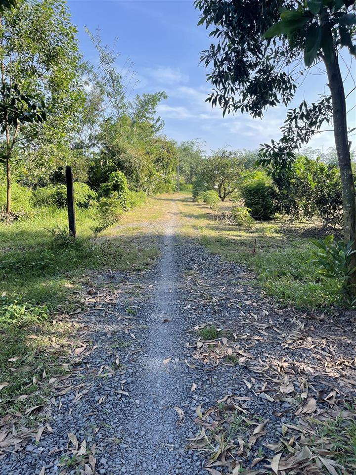 Cần thanh lý gấp lô đất sổ riêng thổ cư đối diện cây xăng kim cương hl15