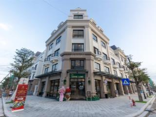 Bán liền kề 5 tầng view công viên tại kđt vh golden avenue. 4,2 tỷ. nhận ngay xe vf3