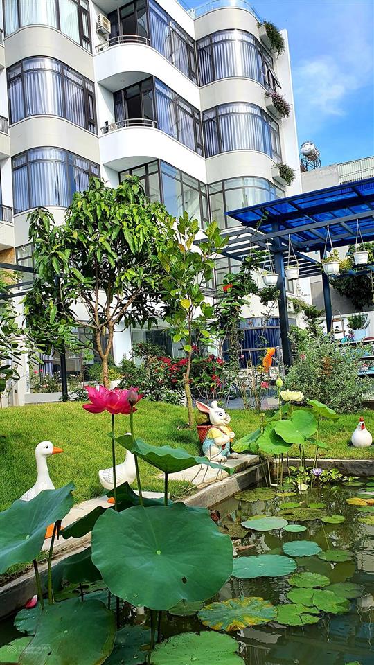 Căn hộ dịch vụ full nội thất 20m2 view hồ bơi, giá 4,2 tr/tháng