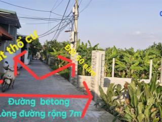 Bán đất 264m² thổ cư 50 năm chùa thầy, sài sơn  ô tô vào, gần trục chính, đa công năng