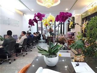 Bán nhà liền kề tô hiệu  vừa ở  kinh doanh  ô tô đỗ ngày đêm  62.5m2 giá 16.5 tỷ